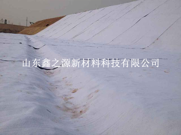 守護養(yǎng)殖基業(yè)，揭秘防滲膜防老化新策略
