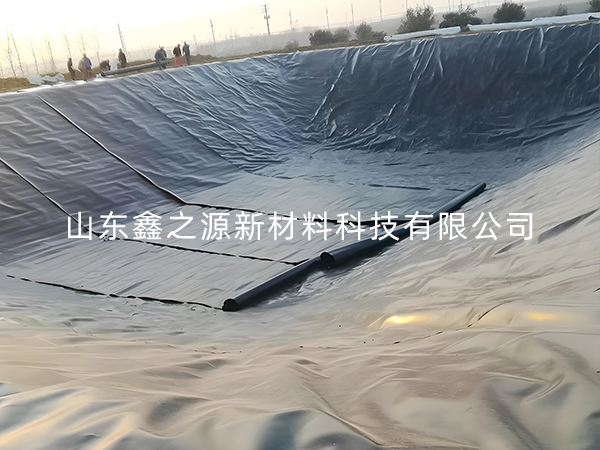 選擇防滲土工膜進(jìn)行小龍蝦養(yǎng)殖有哪些要點(diǎn)技巧？